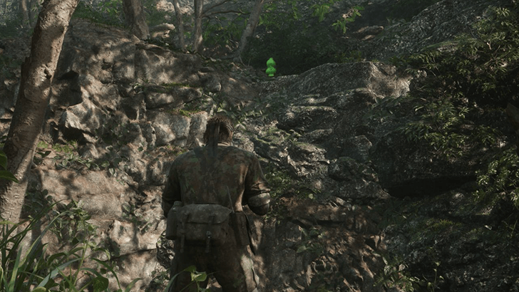 Dremuchij South Kerotan Frog Location