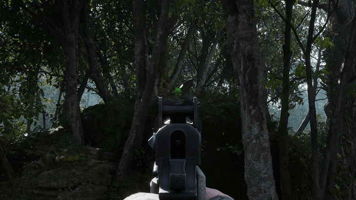 Dremuchij North Kerotan Frog Location