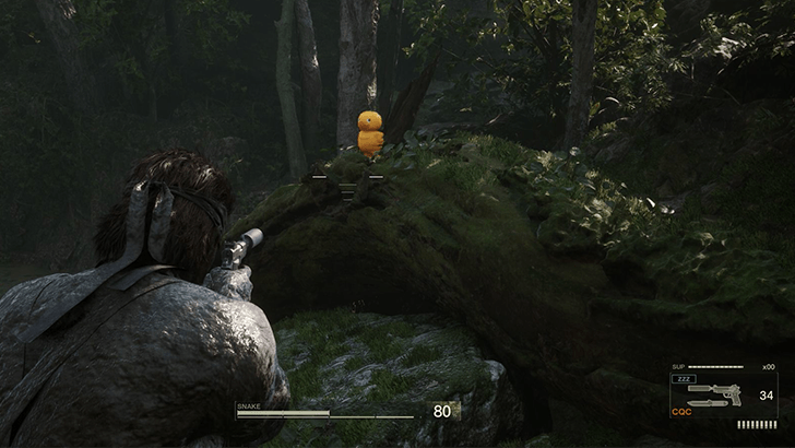 Dremuchij Swamplands Ga-ko Location