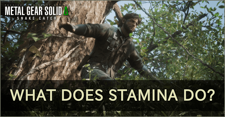 What Does Stamina Do