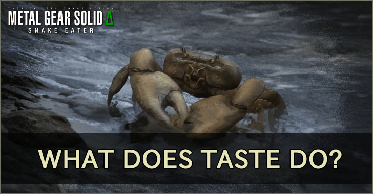 What Does Taste Do