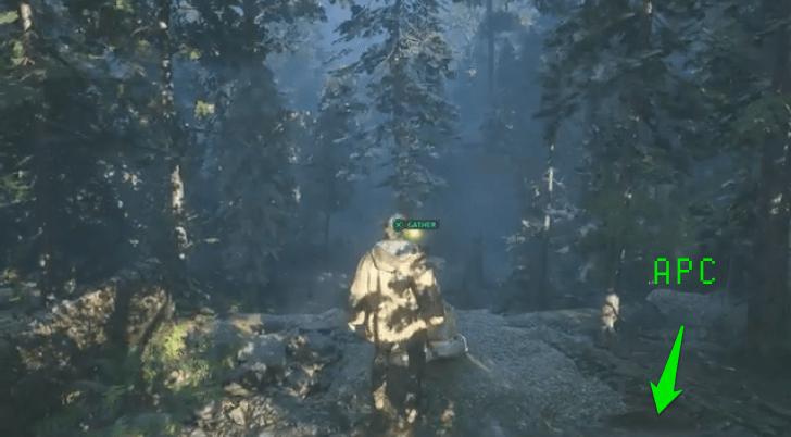 Caddell Family Treasure - Yellow Pile of Rocks Location