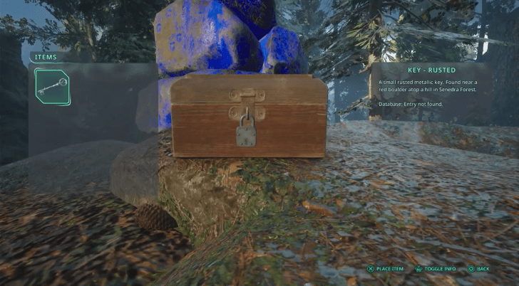 Caddell Family Treasure - Blue Pile of Rocks Location.png