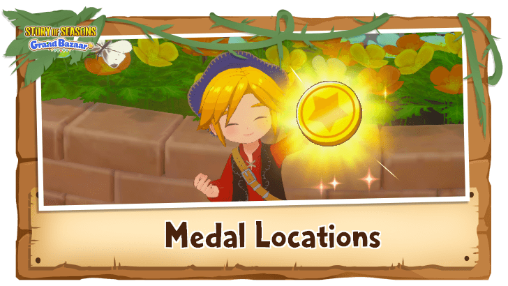 Story of Seasons Grand Bazaar - Medal Locations