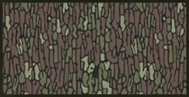 Tree Bark