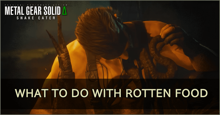 What to Do With Rotten Food