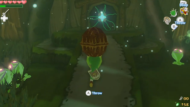 unlocking the door with a Deku Nut