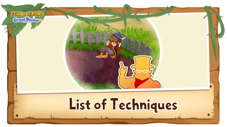 Story of Seasons Grand Bazaar - List of Techniques