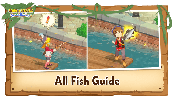 Story of Seasons: Grand Bazaar - All Fish and How to Get Guide