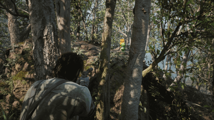 Kerotan Frog 1 Location