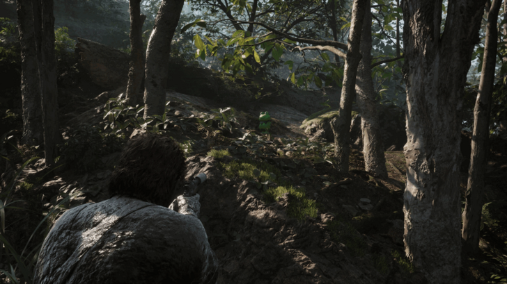 Kerotan Frog 2 Location