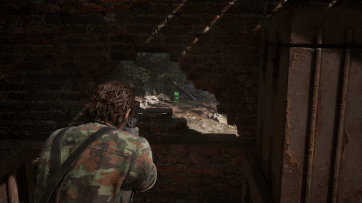 Kerotan Frog 5 Location