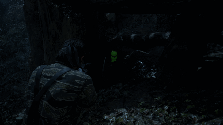 Kerotan Frog 6 Location