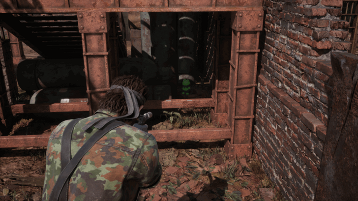 Kerotan Frog 11 Location