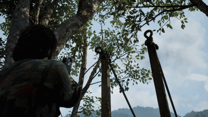 Kerotan Frog 4 Location