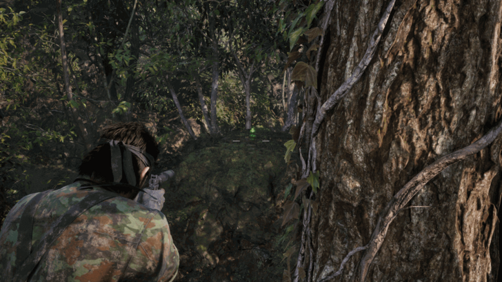 Kerotan Frog 9 Location