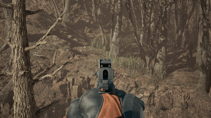 Kerotan Frog 15 Location