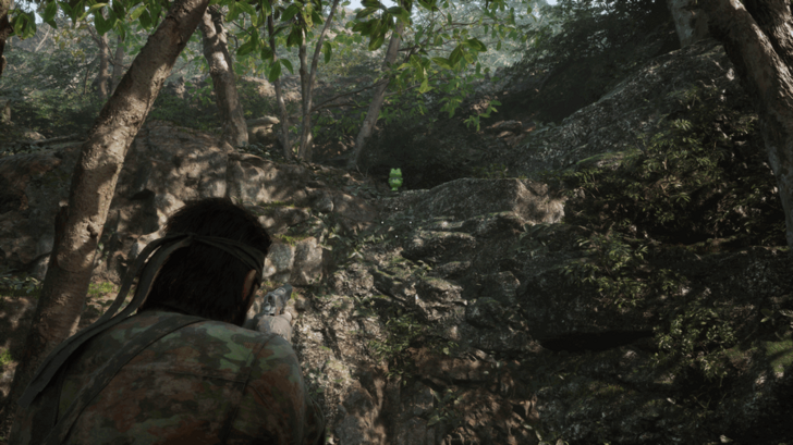 Kerotan Frog 7 Location