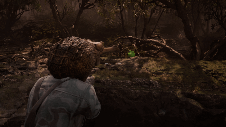 Kerotan Frog 19 Location