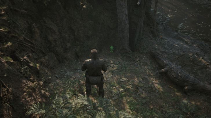 Kerotan Frog 8 Location