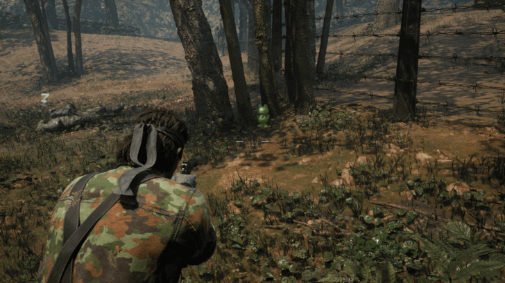 Kerotan Frog 13 Location