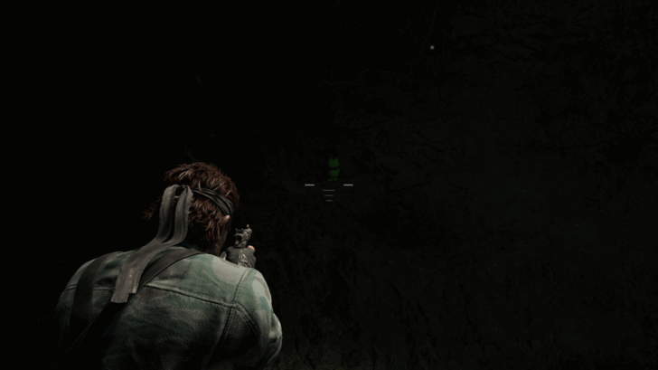 Chyornaya Peschera Cave Branch Kerotan Frog 16