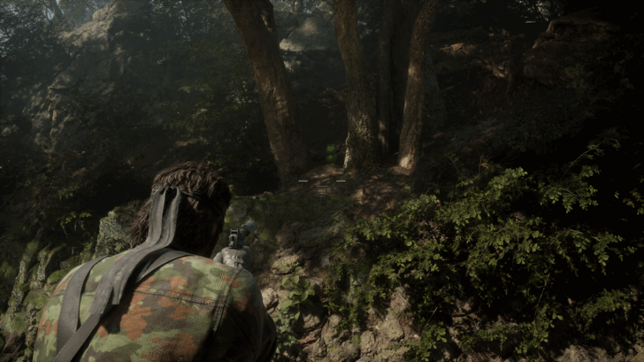 Kerotan Frog 23 Location