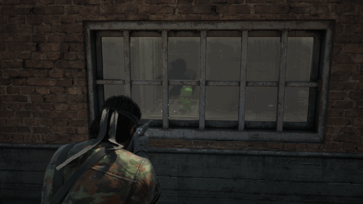 Kerotan Frog 24 Location