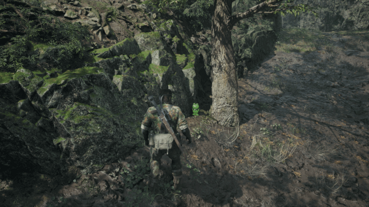 Sokrovenno North Kerotan Frog 34