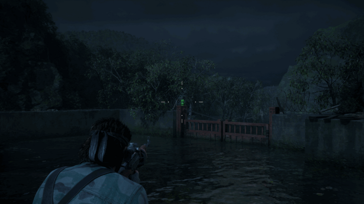 Kerotan Frog 21 Location