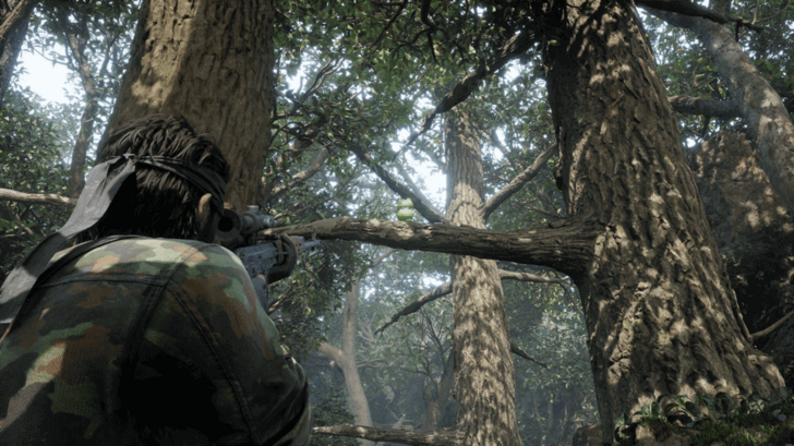 Kerotan Frog 28 Location