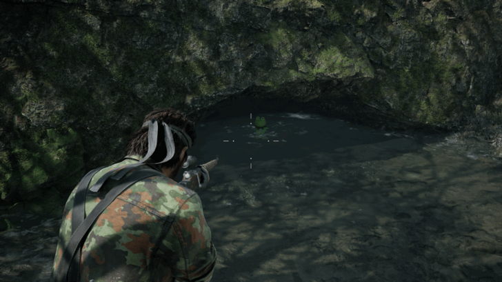 Sokrovenno West Kerotan Frog 33