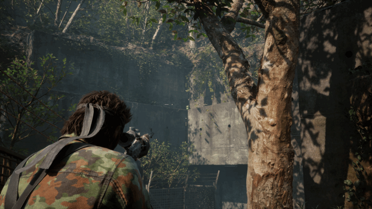 Kerotan Frog 29 Location