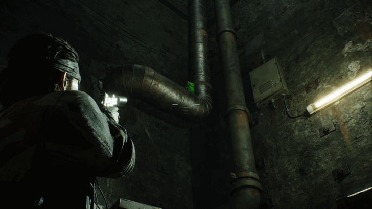 Kerotan Frog 49 Location