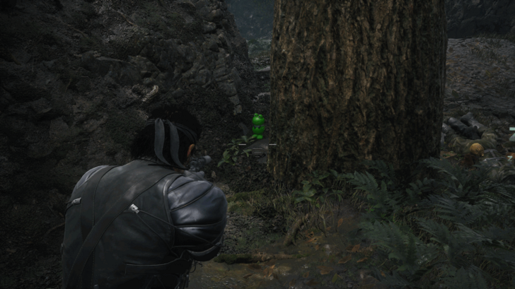 Kerotan Frog 63 Location