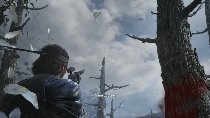 Rokovoj Bereg Kerotan Frog 64