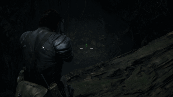 Kerotan Frog 62 Location