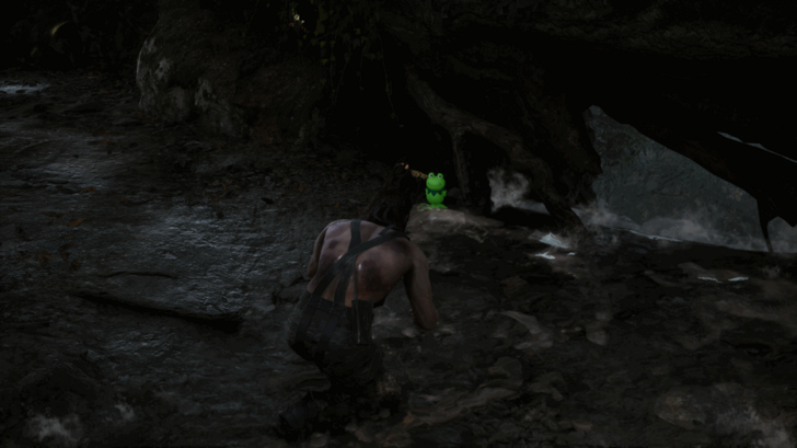 Kerotan Frog 48 Location