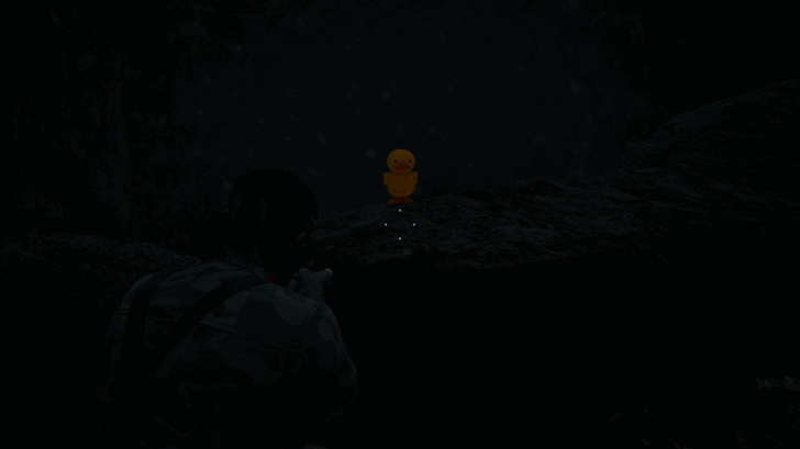 Chyornaya Peschera Cave Branch GA-KO Duck 16