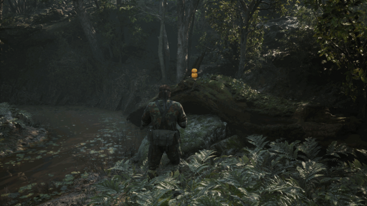 GA-KO Duck 8 Location