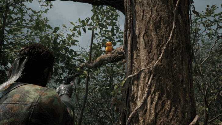 GA-KO Duck 13 Location