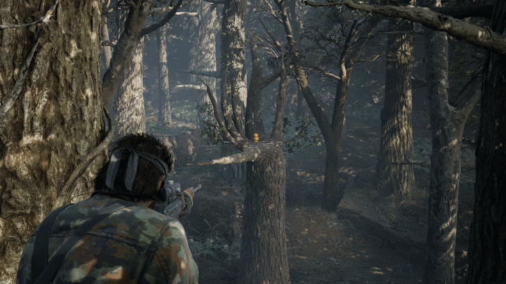 GA-KO Duck 28 Location