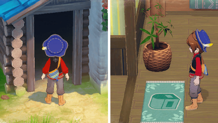 Story of Seasons Grand Bazaar - Storage House entrances