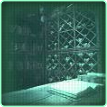 Great Responsibility