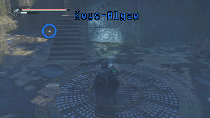 Lost Keys - Picking Up Keys Algae at Bottom of Reservoir