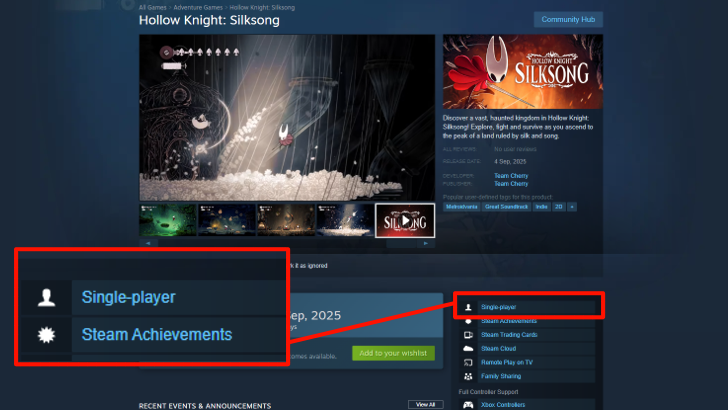 Silksong is Single Player in Steam