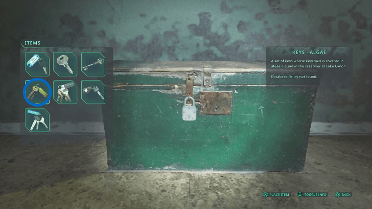 Lost Keys - Use the Keys Algae to Unlock the Chest at the General Store