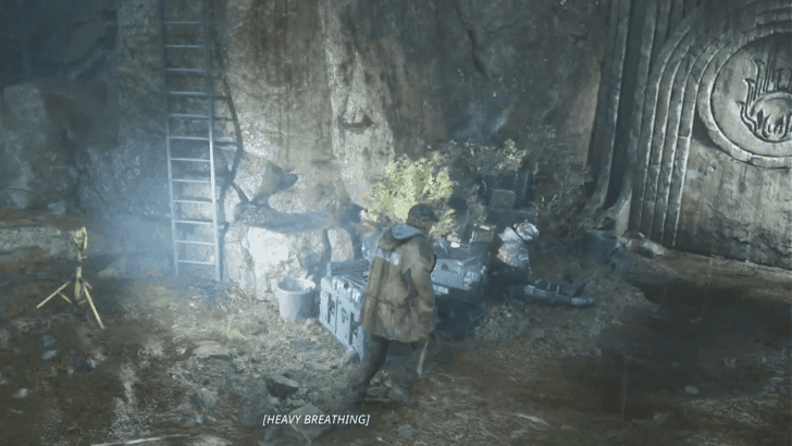 OMSIF-0451 inSenedra Forest