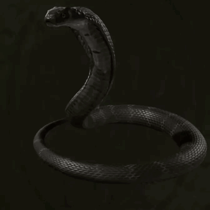 MGS Delta -  King Cobra