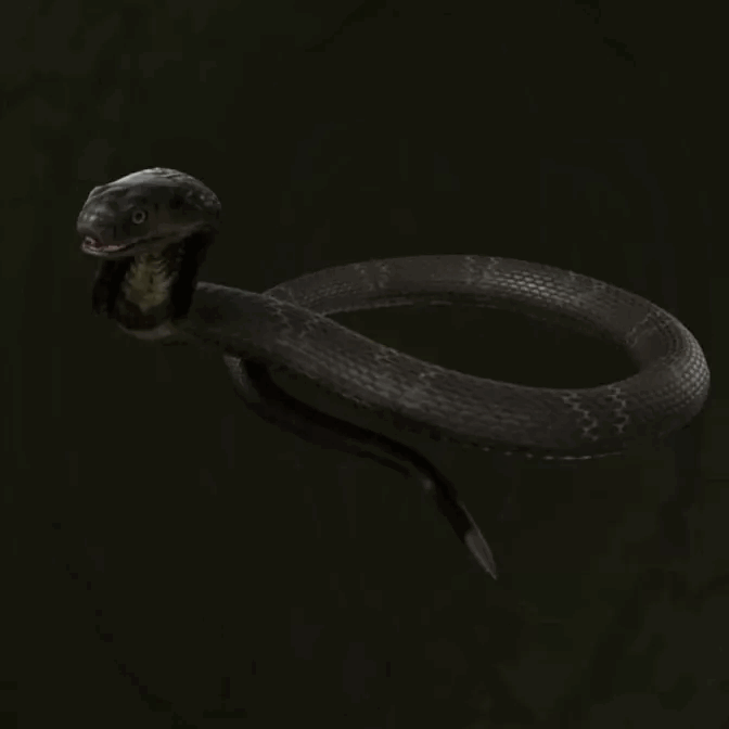 MGS Delta -  Taiwanese Cobra